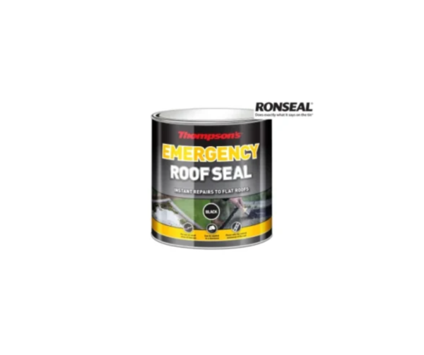Thompson's Emergency Roof Seal 2.5 litre