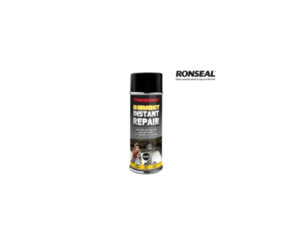 Thompson's Emergency Instant Repair Aerosol 450g