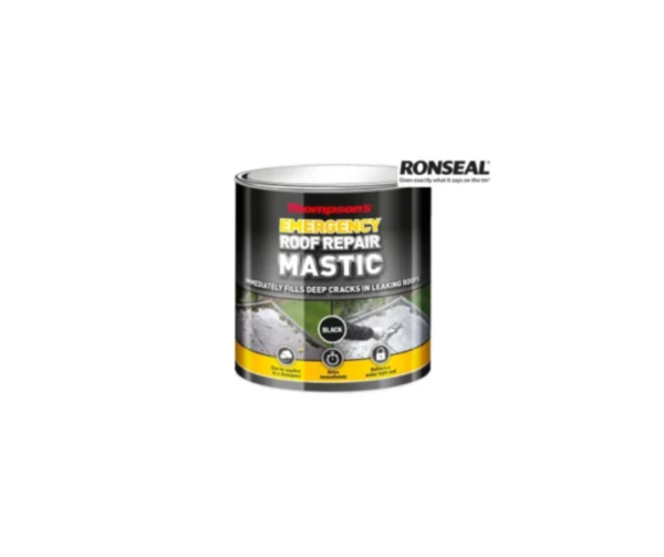 Thompson's Emergency Roof Repair Mastic 750ml