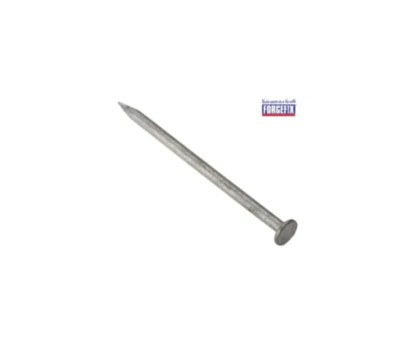 Round Head Nail Galvanised 65mm Bag of 2.5kg